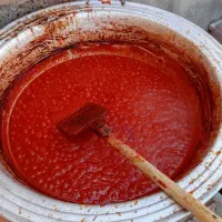 رب خانگی تازه در قره ضیاالدین