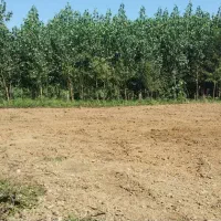 زمین مسکونی فروشی در گیلان صومعه سرا فتمه سر
