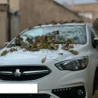 شاهینCVT|خودرو سواری و وانت|کازرون, |دیوار