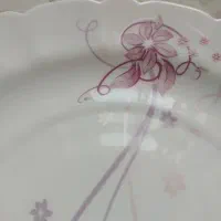 پلوخوری آرکوپال ۲۷ سانتی