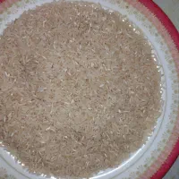 برنج چمپا هاشمی