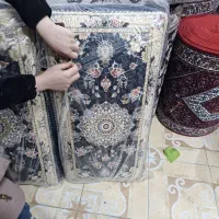 پشتی ریز ماهی|پشتی|زنجان, |دیوار