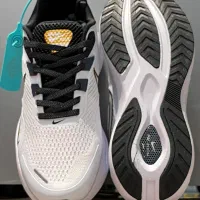 کتونی برند نایکی مدل وینفلو|کیف، کفش، کمربند|تهران, باشگاه نفت|دیوار