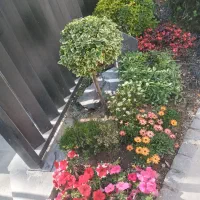 خدمات باغبانی وهرس سمپاشی درکل مناطق