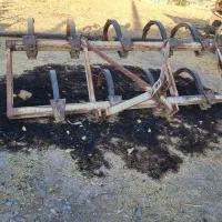 پنجه غازی ایتالیا اصل