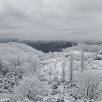 ویلاجنگلی اربکله رامسر|اجارهٔ کوتاه‌مدت ویلا و باغ|رامسر, |دیوار