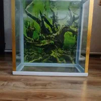 آکواریوم شیک