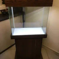 اکواریم شیشه خم