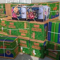 پتو گلبافت درجه یک|رختخواب، بالش، پتو|بانه, |دیوار