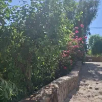 خونه ویلایی خیلی تمیز سند دار سند سبز کلید اول|فروش خانه و ویلا|مسجد سلیمان, |دیوار