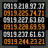 0919.227.63.60