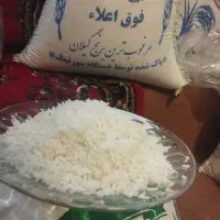 برنج شیرودی|خوردنی و آشامیدنی|اراک, |دیوار