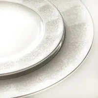 چینی زرین طرح دلسا درجه عالی|ظروف سرو و پذیرایی|زنجان, |دیوار