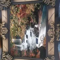 دو عدد تابلو فرش|تابلو، نقاشی، عکس|قزوین, |دیوار