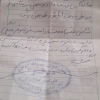 پارس ۸۹ سفارشی تو کرم|خودرو سواری و وانت|شیراز, داریون|دیوار