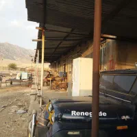 طهر دامداری ۲۰۰۰راس گوسفند.مجوز ۷۰۰۰متر گلخانه|فروش دفتر صنعتی، کشاورزی، تجاری|باغ ملک, |دیوار
