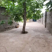 فروش یک قطعه زمین باغی ویلا