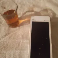 شاطر بربری و فطیر نیازمندیم