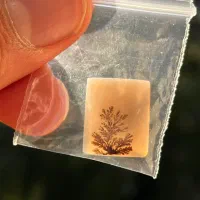 انگشتر فیروزه نیشابور|جواهرات|تهران, استخر|دیوار