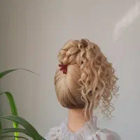 مدل شنیون اقتصادی