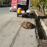 آشپزی|خدمات پذیرایی، مراسم|فیروزآباد (فارس), |دیوار