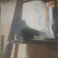 کبوتر زاغ دم سفید