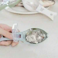 پولک گیرماهی