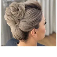 شنیونکار حرفه ایی