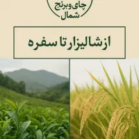 برنج  و لاشه طارم هاشمی|خوردنی و آشامیدنی|تهران, یاخجی آباد|دیوار