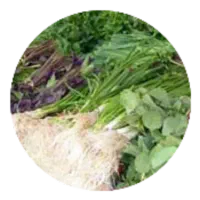 پاک کردن سبزی پذیررفته میشود