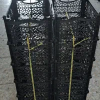 نیروی کاربرای سبدسازی نیازمندیم