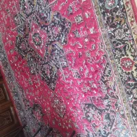 فرش بدون ایراد|فرش|خوی, |دیوار