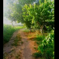 باغ بر اصلی کورو بسطام