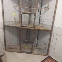 قفس پرنده