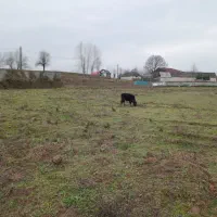 فروش-زمین-و-رهن-استخر-ماهی