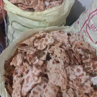 فروش نان خشک|خوردنی و آشامیدنی|رشت, باهنر|دیوار