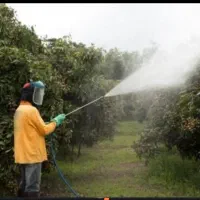 سمپاشی باغات