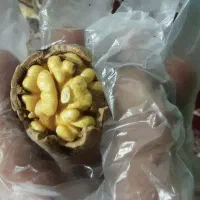 سایه خشک و شیره به شرط تست|خوردنی و آشامیدنی|زند, |دیوار