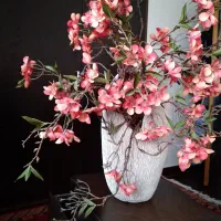 در حد نو|گل مصنوعی|قائم‌شهر, |دیوار