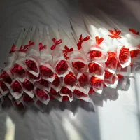 گل های روبانی|گل و گیاه طبیعی|اسلامشهر, شهرک مهدیه|دیوار