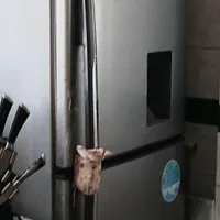 یخچال سوزان بدون برفک در حد نو
