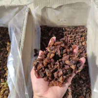 خشکبار کشمش و گله کاشمر احمد صمدی عبادی91|خوردنی و آشامیدنی|مشهد, عبادی|دیوار