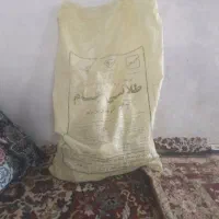 کیسه خالی خوراک