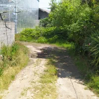 زمین مسکونی ۲۲۴ متری/ ۳دقیقه تا شهر/املاک آسیانوین|فروش زمین و ملک کلنگی|رودسر, |دیوار