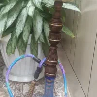 قلیان تنه گردو کاملانو