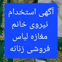 شاگرد مغازه خانم