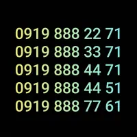 سیم کارت ۹۱۹ رند دائمی ۳۵ عدد مناسب شرکت ها