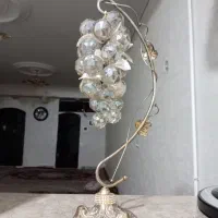 انگور تزئینی