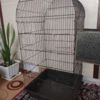 قفس کاسکو زیر قیمت