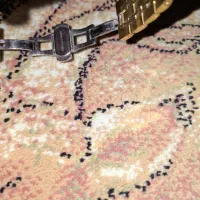 ساعت CITIZEN ROYAL|ساعت|خرمآباد, |دیوار